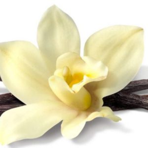 Ароматизатор / концентрат Ваніль 1 кілограм арт. 124