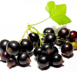 Ароматизатор / концентрат Чорна смородина свіжа 1 кілограм арт. 127